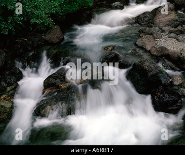 Kleiner Wasserfall Kaskaden über felsigen Bachbett im Baker nördlichen Washington National Forest Stockfoto