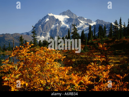 Mount Shuksan in Washington Cascade Mountains im Herbst mit Eberesche Sträucher zeigen ihre saisonalen Farbe gesehen Stockfoto