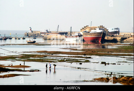 Dhau-Gebäude am Mandavi Hafen in Gujarat in Indien Stockfoto