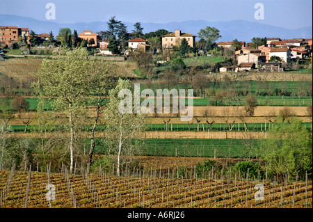 Querformat bei Acquaviva nahe Montepulciano Toskana Italien Stockfoto