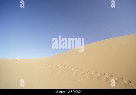 Afrika, Algerien, Sahara, Tassili n ' Ajjer. Spuren im roten Sanddünen Stockfoto