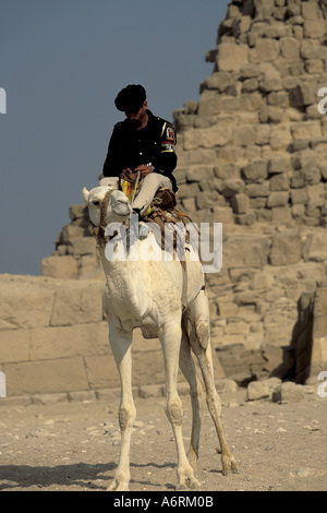 Agypten, Giza, touristische Polizist auf Kamel, komplexe Pyramiden Gizeh-Plateau Stockfoto