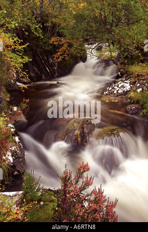 Einem gurgelnden Bach stürzt hinunter einen Berghang in Glen Affric, Schottland.  Die Farben des Herbstes umrahmen den stream Stockfoto