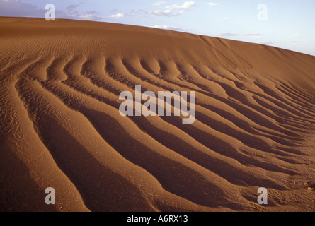 Afrika, Marokko, Tinfou (in der Nähe von Zagora), Sanddünen, tief gefurcht, durch starke Winde in das Draa-Tal Stockfoto