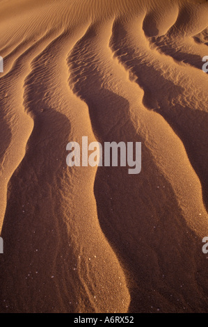 Afrika, Marokko, Tinfou (in der Nähe von Zagora), Sanddünen, tief gefurcht, durch starke Winde in das Draa-Tal Stockfoto