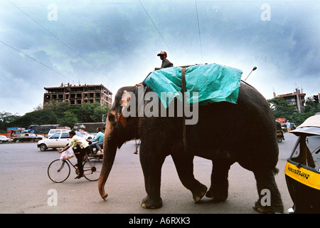 Elefant mit seinen Mahout zu Fuß auf der verkehrsreichen Straße betteln um Almosen in Bombay jetzt Mumbai Maharashtra Indien Stockfoto