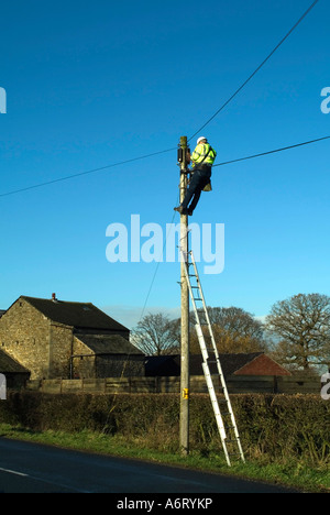 Telefon-Ingenieur auf einem Telegrafenmast Stockfoto
