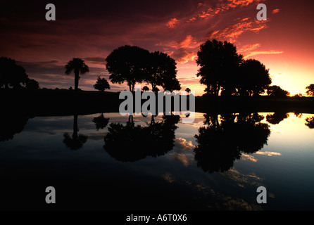 Florida Golf Kurs Sonnenuntergang Stockfoto
