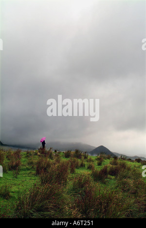 Standing Stones auf Ardgroom Ring Beara Halbinsel Irland Stockfoto