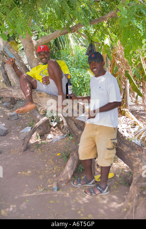 Nur ' ^ hängen "im Schatten - ein heißer Tag auf der tropischen Insel von"Rodrigues" Stockfoto