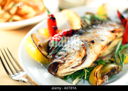 Gebackener Wolfsbarsch serviert mit gerösteten roten Chilis Zitrone Limette Rosmarin und Thymian serviert auf einer ovalen Platte fangfrischen Stockfoto