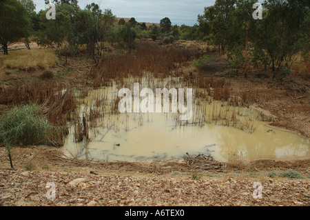 Bergematerial dam um Gülle Abfluss von Zeche Central Queensland zu verhindern Stockfoto