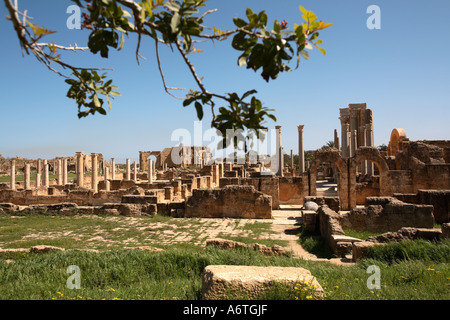 Die hadrianischen Thermen in Leptis Magna, Libyen. Stockfoto