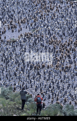 South Georgia Island, Salisbury Plain, subantarktischen. Fotografen sitzen am Rand des massiven Königspinguin-Kolonie. Stockfoto