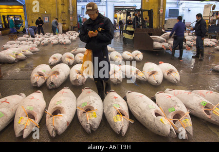 Japan zentralen Honshu Tokio Tsukiji Fischmarkt am frühen Morgen eingefroren Thunfisch Auktion Reihen von Fisch mit Arbeiter Notizen Stockfoto
