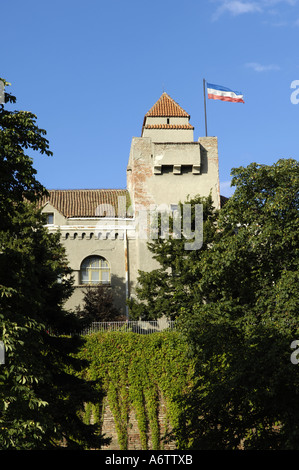 Beograd, Festung mit serbischen Fähnchen im wind Stockfoto