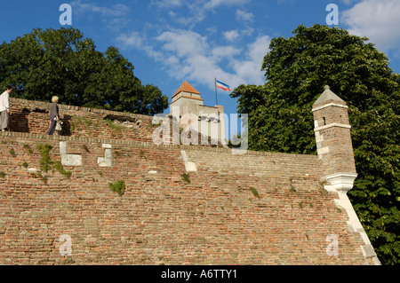 Beograd, Festung mit serbischen Fähnchen im wind Stockfoto