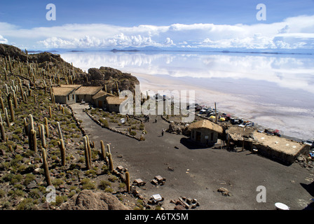 Isla del Pescado mit Kakteen (Trichocereus nomenklatorisches Bzw. Echinopsis Atacamensis) in das Salz der Wüste Salar de Uyuni, Bolivien Stockfoto