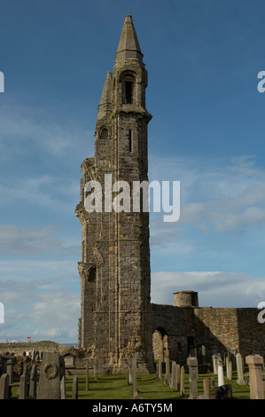 Den Osten Giebel der St. Andrews Cathedral St Andrews Scotland Stockfoto