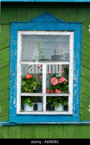 Eine hübsche Blume Schaufenster in einem alten Holzhaus in Kholmsk auf Sachalin in Russland 2004 Stockfoto