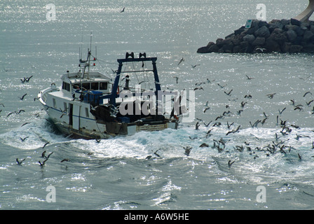 Das Heck eines großen modernen Fischerboots im Mittelmeer kehrt zum Hafen zurück, gefolgt von Möwen im Departement Sete Hérault, Occitania südlich von Frankreich Stockfoto