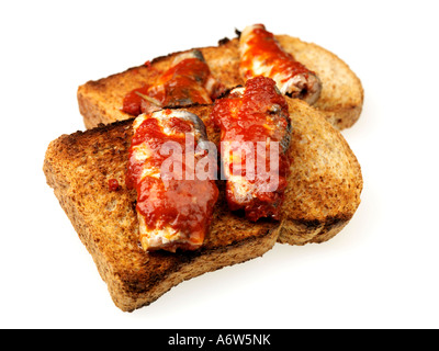 Sardinen auf Vollkorn Toast Stockfoto