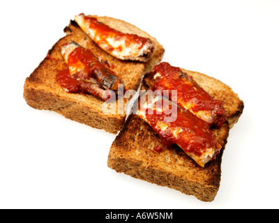 Sardinen auf Vollkorn Toast Stockfoto