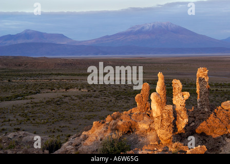 Versteinerten Korallen in Form von Kakteen und Vulkanasche, Hochland von Uyuni, Bolivien Stockfoto