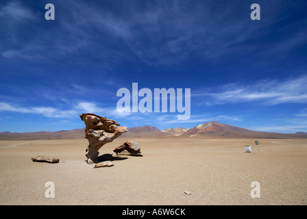 Bizarre Felsen in der Form einer Mashroom (Arbol de Piedra), Hochland von Uyuni, Bolivien Stockfoto