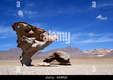 Bizarre Felsen in der Form einer Mashroom (Arbol de Piedra), Hochland von Uyuni, Bolivien Stockfoto