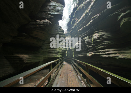 Landausflug auf der oberen Dells Ausflüge des Wisconsin River zu Hexen Gulch, Wisconsin Dells, Wisconsin, USA Stockfoto