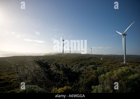 Windpark in Westaustralien Frenchmans Bay Stockfoto
