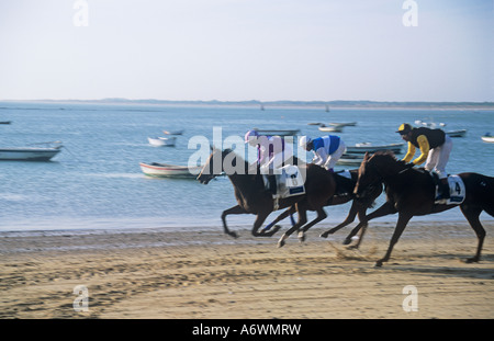 Sanlucar de Barrameda, Pferderennen am Strand Costa De La Luz, Andalusien, Cadiz, Spanien. Das Rennen findet jeweils im August Stockfoto