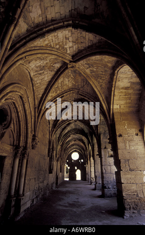 Mittlerer Osten, Syrien, Krak de Chevaliers.  Erhaltene Kreuzfahrerburg Stockfoto