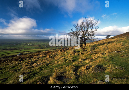 Slemish Co. Antrim-Nordirland Stockfoto