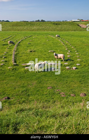 Steinen markiert ein Wikinger-Haus in Trelleborg Slagelse, Dänemark Stockfoto