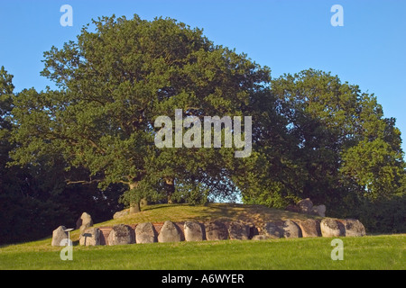 König Svends Hügel oder Dolmen in der Nähe von Nakskov, Dänemark Stockfoto