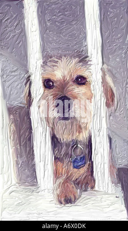 Digitale Malerei von Terrier Hund hinter Gittern Stockfoto