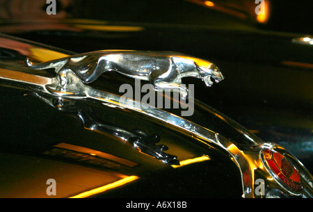 Motorhaube-Ornament auf Vintage Jaguar Auto Stockfoto