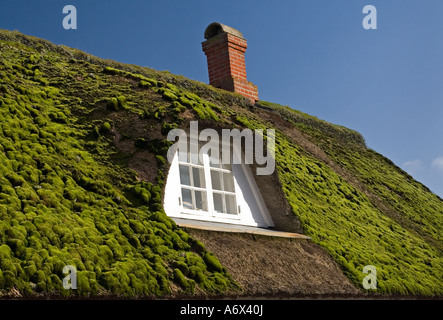 Fanø- oder Fanø - Hütte mit Moos bedeckt Strohdach. Fanø-Dänemark Stockfoto