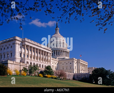 Washington State Capitol Building, Washingtion D.C., USA Stockfoto