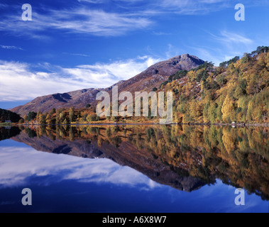 Glen Affric, Highlands, Schottland, UK Stockfoto