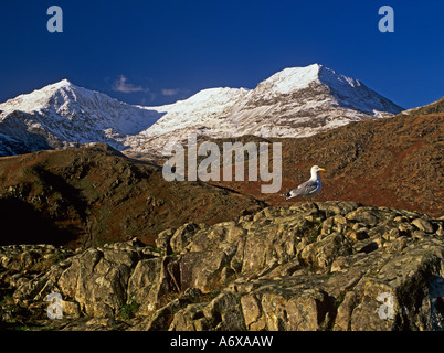 PEN Y PASS GWYNEDD NORTH WALES UK Dezember Schnee bedeckt Yr Wyddfa Snowdon vom Aussichtspunkt über Nant Cynnyd im Eryri Snowdonia Nationalpark Stockfoto