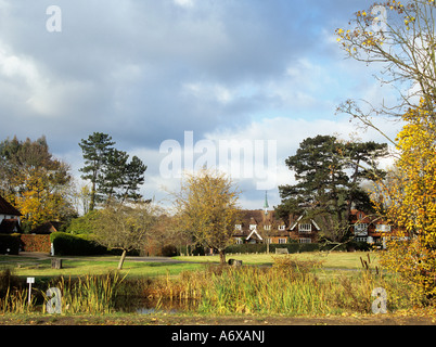 BUCKLAND SURREY UK November Blick über den Dorfteich in Richtung einige der attraktiven Häuser in diesem schönen Dorf Stockfoto