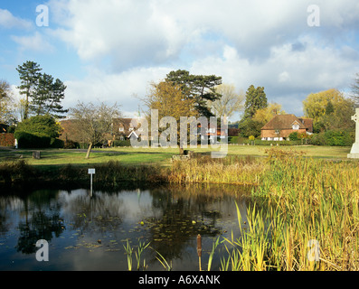 BUCKLAND SURREY UK Blick über den Dorfteich in Richtung einige der attraktiven Häuser in diesem schönen Dorf Stockfoto