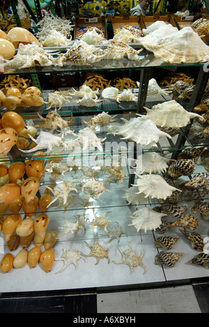 Weltweit größte Shell Factory eine beliebte Touristenattraktion in North Fort FT Myers Florida FL Stockfoto