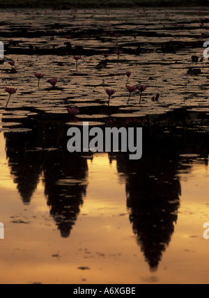 Asien, Kambodscha, Siem Reap, Angkor Wat (geb. 12. Jahrhundert). Reflexion des Tempels im Teich mit Wasser Lilien Stockfoto