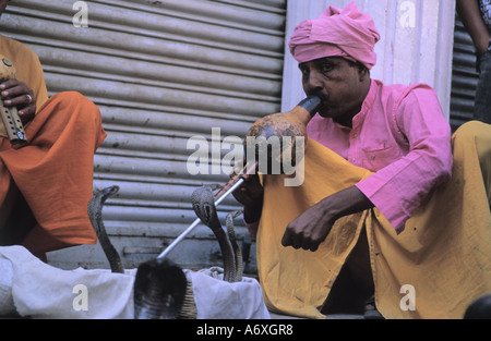 Schlange-Charmeur aus Indien mit Schlange Showoff in Thamel Kathmandu-Nepal Stockfoto