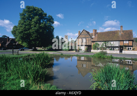 Aldbury Hertfordshire Ententeich mit The Manor House und das alte Dorf-Aktien Stockfoto