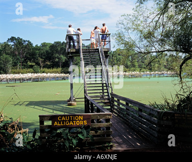 Vorsicht Alligatoren Schild, Touristen aus Sicht mit Blick auf Bird City, Jungle Gardens, Avery Island, McIlhenny Company of Tabasco Sauce, Louisiana Stockfoto